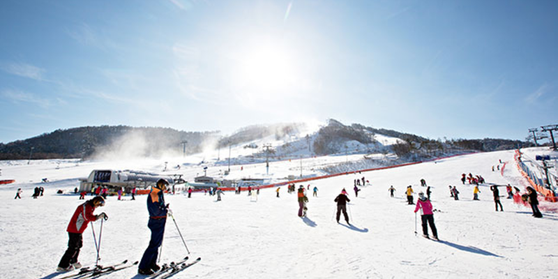 Khu trượt tuyết Alpensia Resort